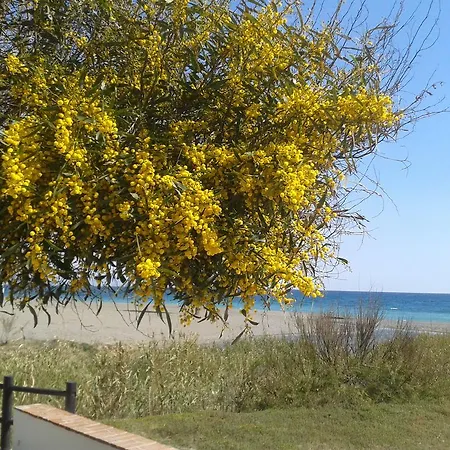 Playa 2188 Apartment *